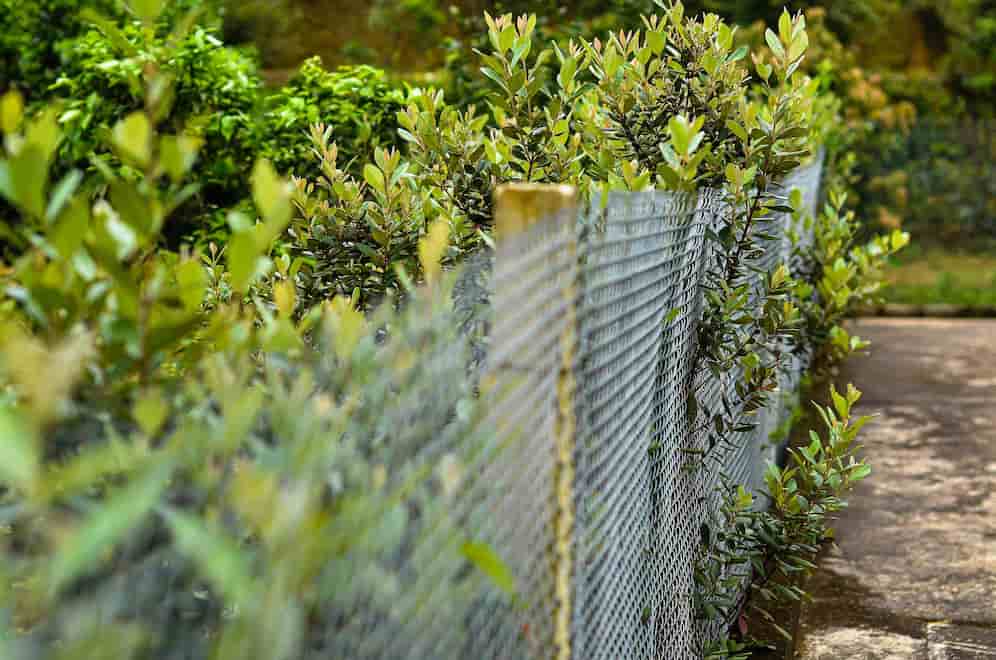 onde comprar cerca para jardim